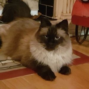 Meet your Posher, Sandra burt